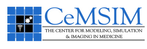 CeMSIM logo