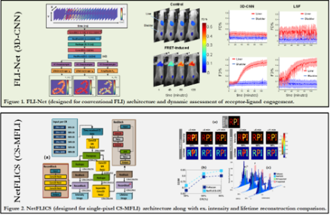 Research diagram showing different graphics of wavelengths