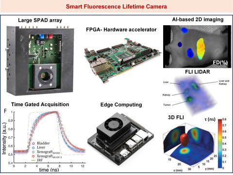 Diagram of hardware-based neural network accelerators